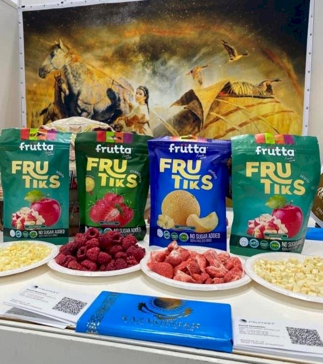 Ғылым қоры қолдаған жобалар Жапония нарығына шығады