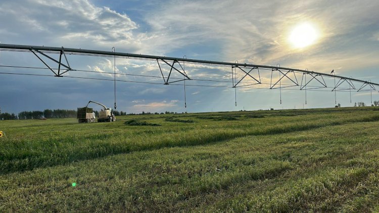 2022 жылдың басынан бері мемлекетке 10 млн га ауыл шаруашылығы жері қайтарылды