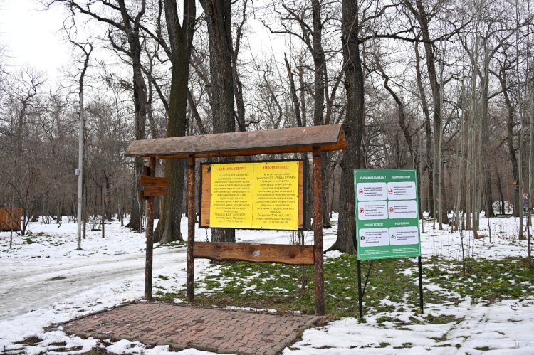 Мамандар Баум тоғайында көп кездесетін зиянкестерді анықтады