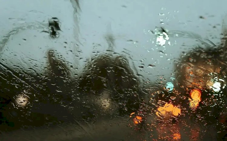 Нөсер жауын жауып, өзендер арнасынан асып жатыр