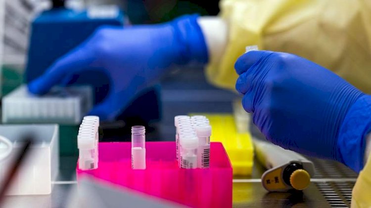 Ұлыбританияда ковидтің жаңа түрі тарап жатыр