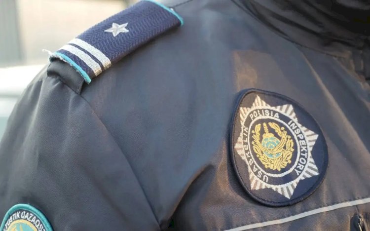 Алматыда ит иесін пышақ ала жүгірген бұзақыдан құтқарды