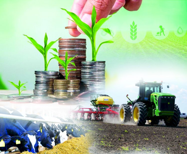 АШМ фермерлер үшін 2023 жылғы қолайсыз ауа райының салдарын еңсеруді жалғастырады