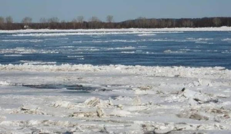 Сырдарияда сең жүріп жатыр