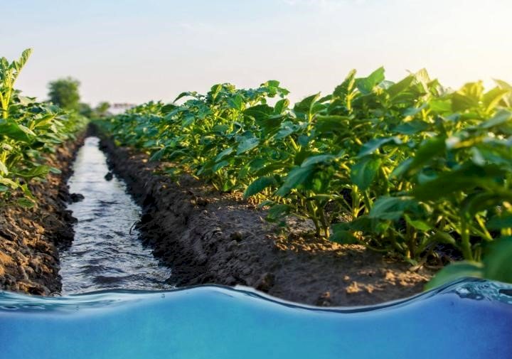 Еліміздің оңтүстігінде суармалы судың шығыны азайды