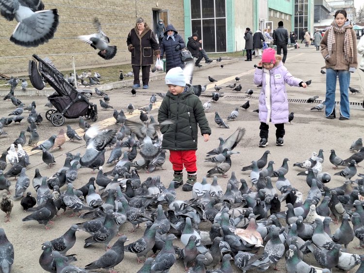 Алматылықтардың зейнетақысы мен жәрдемақысы қаншаға өсті?