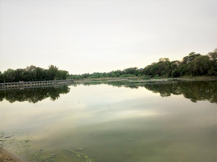 Алматыдағы өміріңізге қауіпті тоғыз айдын