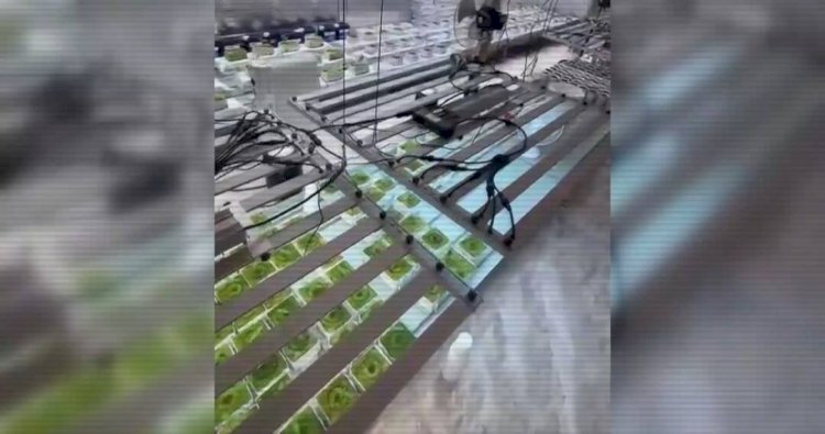 Алматы облысында үш есірткі зертханасы жойылды