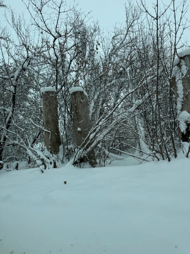 Жел, тұман, көктайғақ  болады