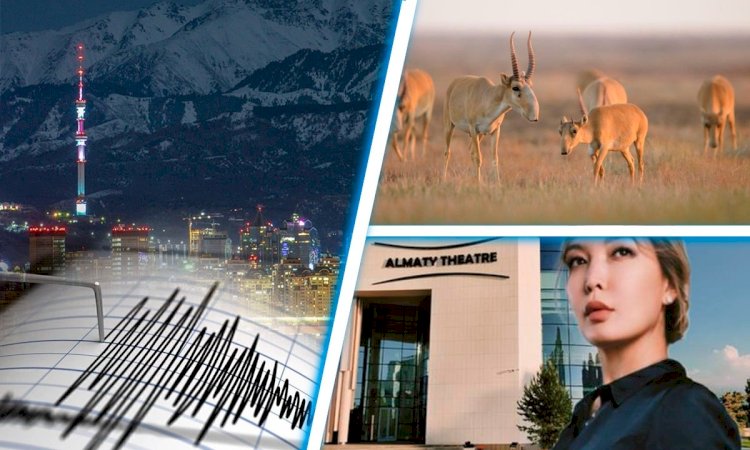 Алматыдан ұйқы қашқан күні «Алматы» сатылып жатыр...