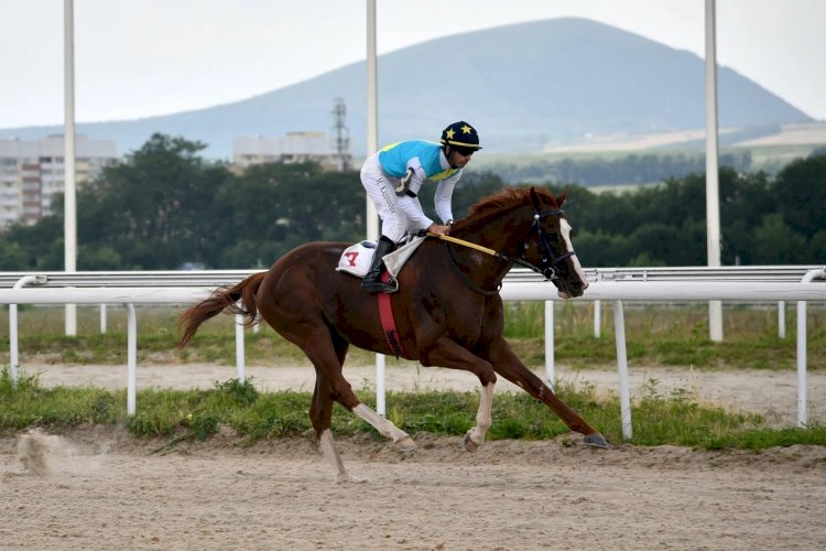 Қабирхан басқа елдегі жарыстарға қатысатын болды