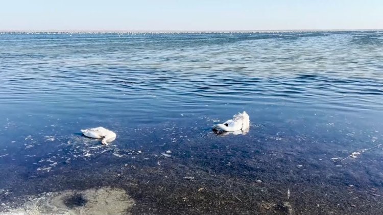 Ақтаудағы Rixos қонақүйіне қатысты екі әкімшілік іс қозғалды