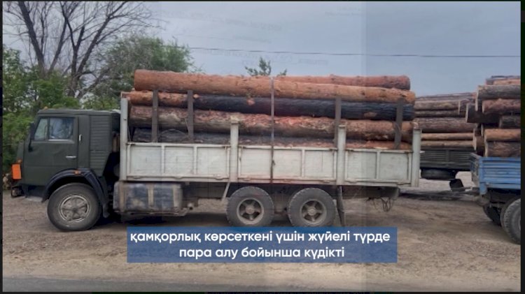 «Ертіс орманы» басшысы пара алды деген күдікке ілінді