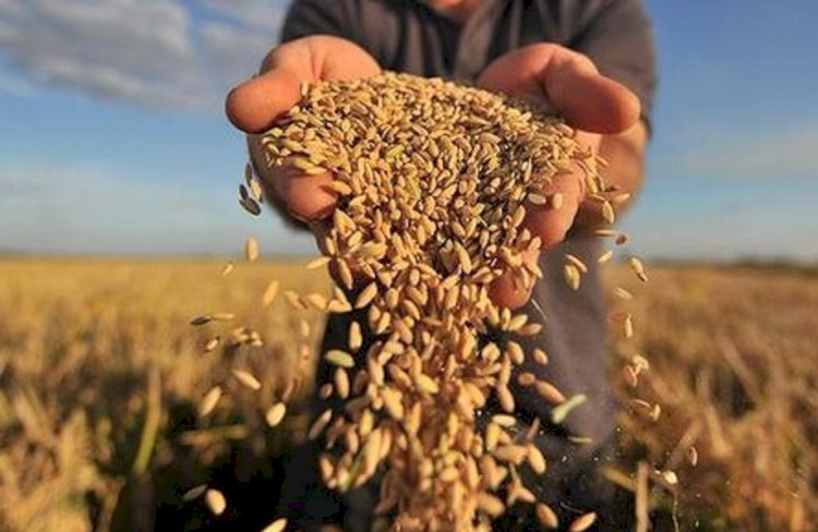 Президент агроөнеркәсіп саласын сынға алды