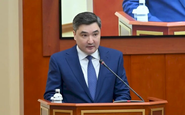 Нақты іспен айналысамыз - Олжас Бектенов Президентке уәде берді