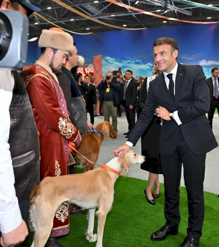 Тоқаевтың тартуы