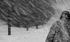 Еліміздің 14 облысына дауылды ескерту жарияланды