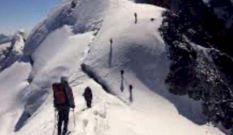 Тауға шығып  түсе алмай қалған...