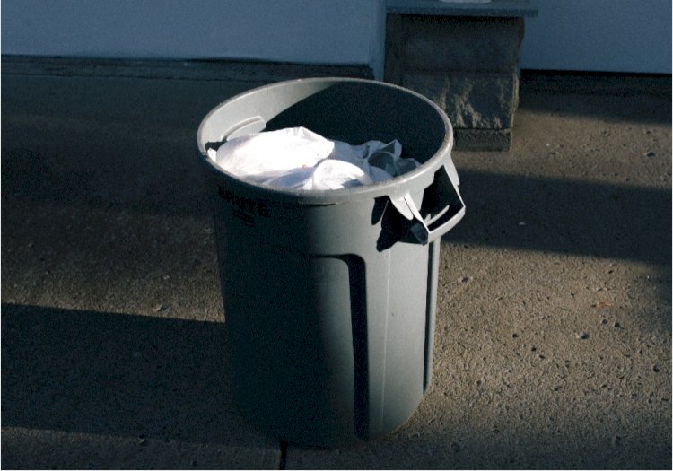 Тамақ қалдығы ауаны қатты ластайды