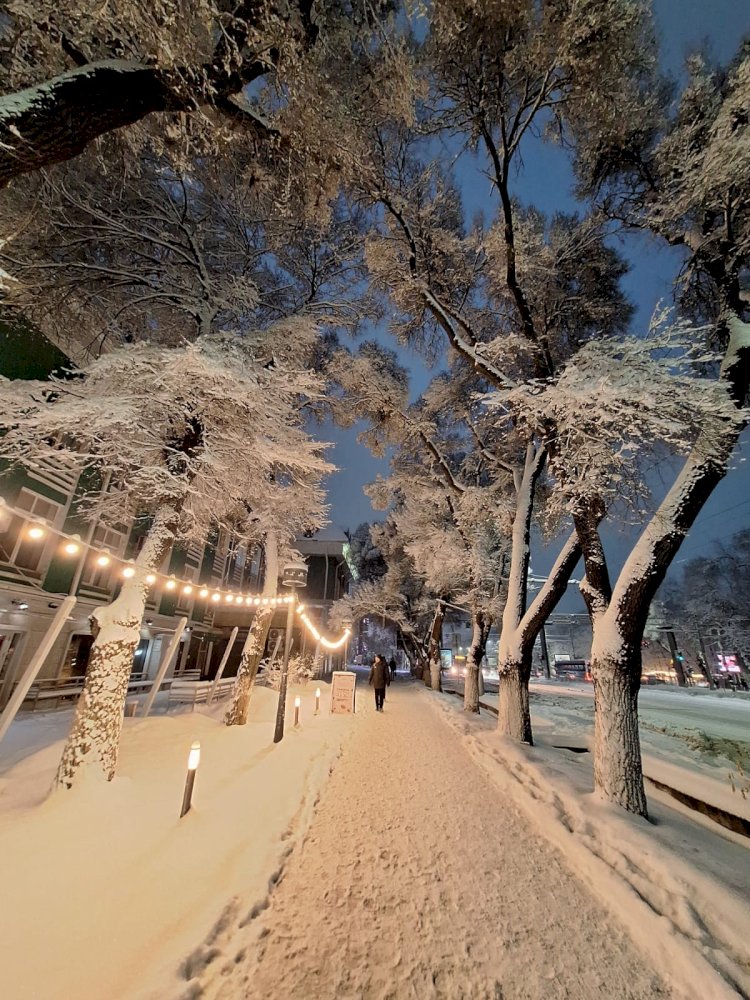 Алматы. Ақпан. Аппақ қар айнала