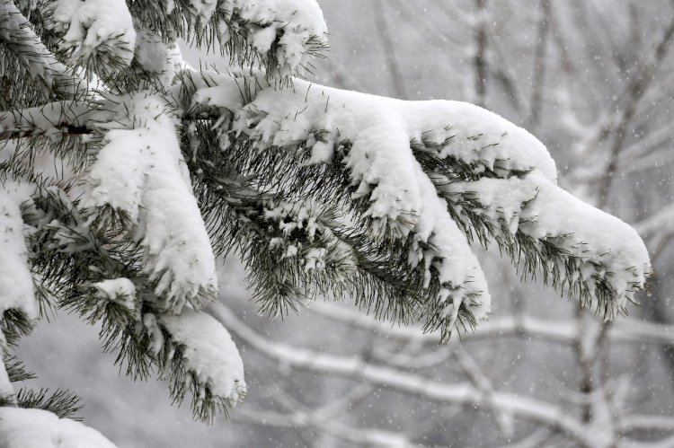 17 ақпанға арналған ауа райы болжамы