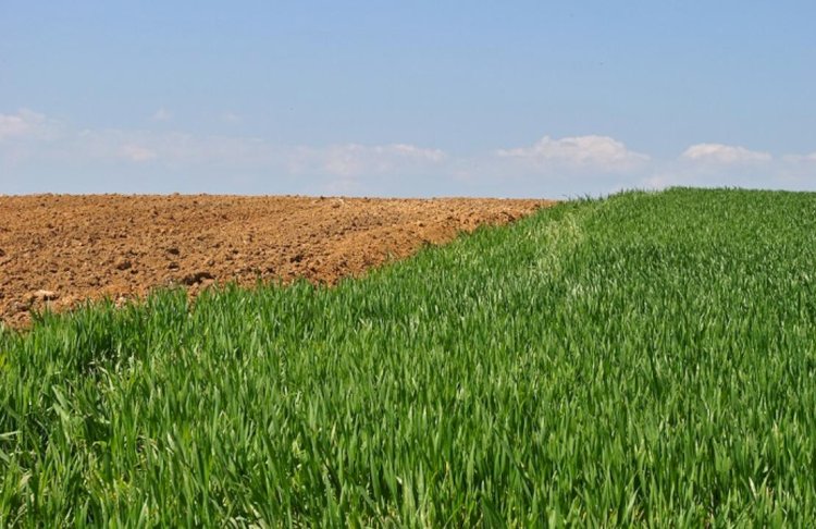 Құны 170 млн теңгеден асатын жер  мемлекетке қайтарылды