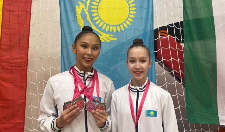 Айбота мен Эрика