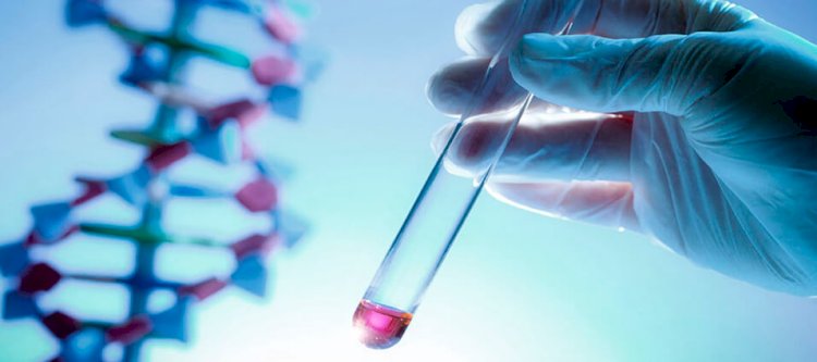 Өзінің шыққан тегін білмейтін әлемде талай қазақ бар