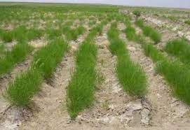 «Халықтың экологиялық мәдениетін дамыту тұжырымдамасы» бекітілді  