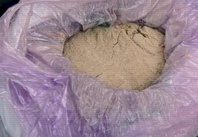 Алматыға есірткі жеткізу арнасын жолға қойған тұрақты қылмыстық топқа тосқауыл қойылды