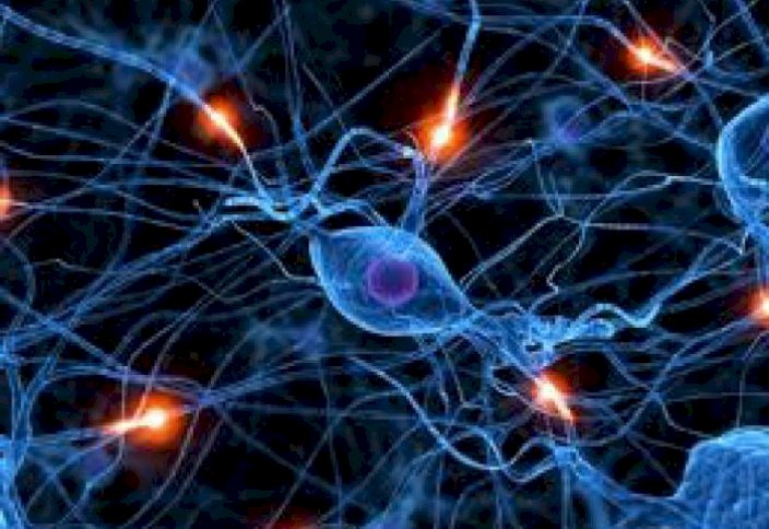 Бактериялар Альцгеймер ауруын тудырады