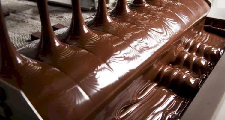 Дүниежүзі 2040 жылы шоколадсыз қалуы мүмкін