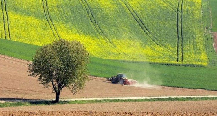 Қоршаған ортаны ластағандар 10 жылға сотталады