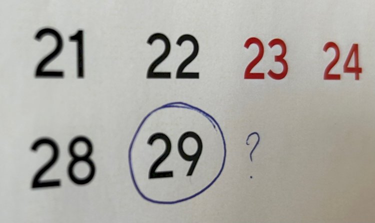 4 жылда бір келетін «Кібісенің» тарихы