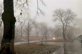 Алдағы үш күнге арналған ауа райы мәліметі