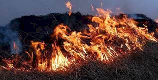 Каспий жағалауы өртке оранды