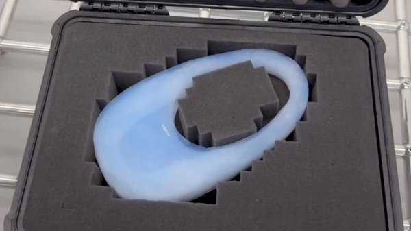 19 милион тұратын сөмке