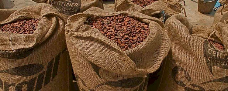 Шоколад бағасы шарықтап кетті