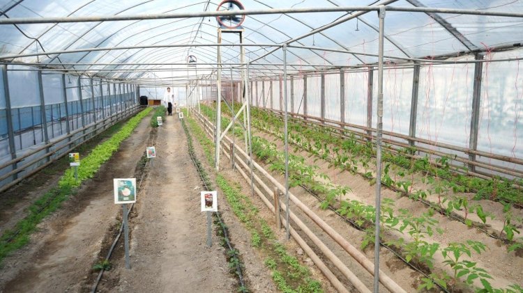 Суды мақта қауызымен қайта тазалауға болады