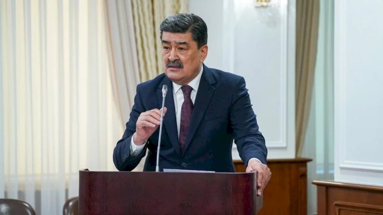 Экология министрі Үкімет басшысынан кешірім сұрады