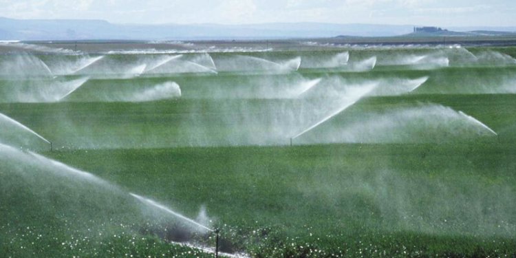 Ыстықтан қорғанудың  жаңа тәсілі табылды