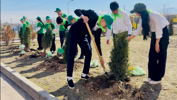 Наурыз қарсаңында Алматының бірнеше ауданында ағаш отырғызылды