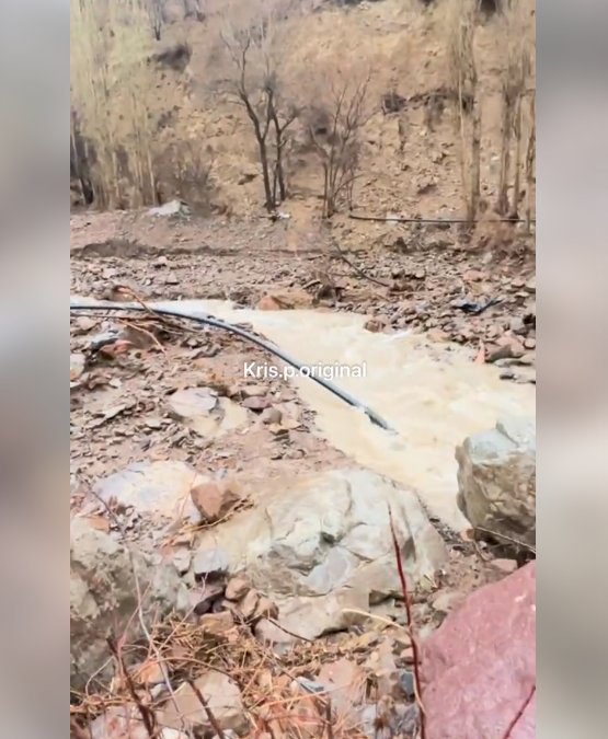 Алматы облысында лай көшкіні жүрді