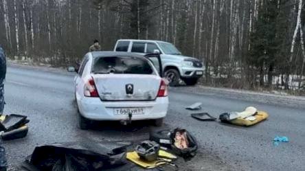 11 лаңкес ұсталды