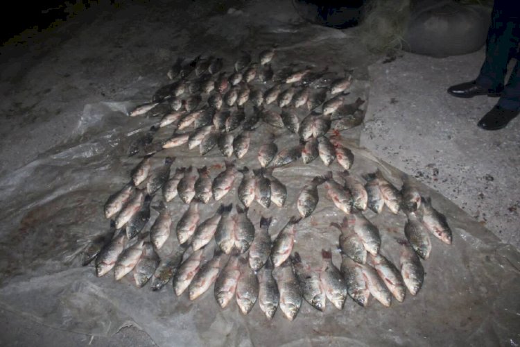 Түркістан облысының полицейлері заңсыз ауланған балықты тәркіледі