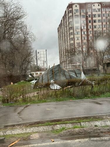 Қатты желден 11 мектеп пен 1 балабақша бүлінді