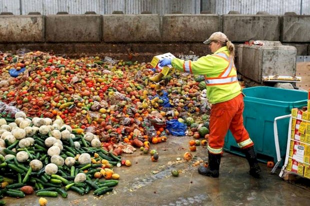 Күнделікті әлемде 1 млрд порция тағам қоқысқа кетеді