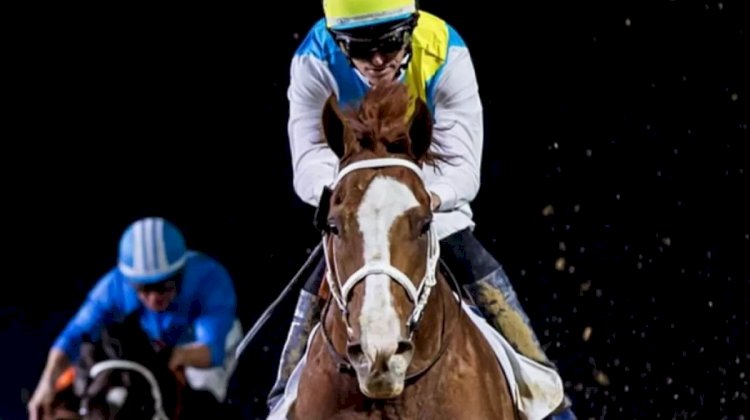 Дубайдағы жарыста Қабирхан қанша табыс тапты?