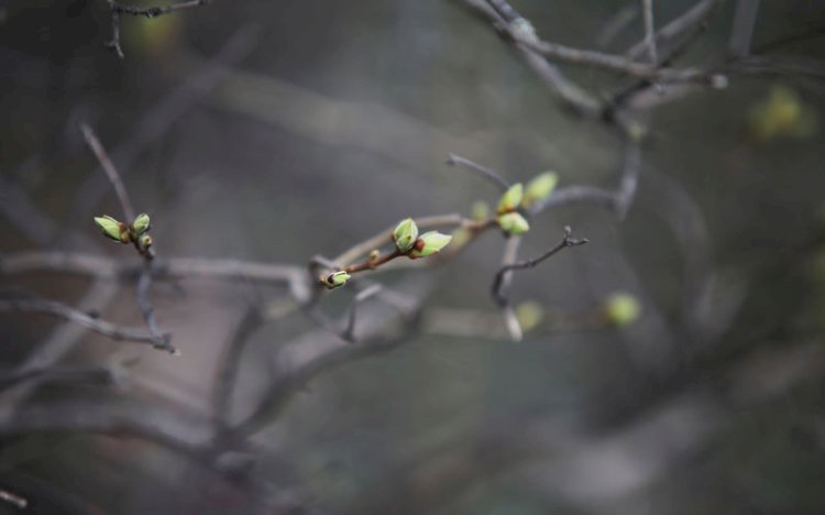 Елімізде сәуірде ауа райы қандай болады?