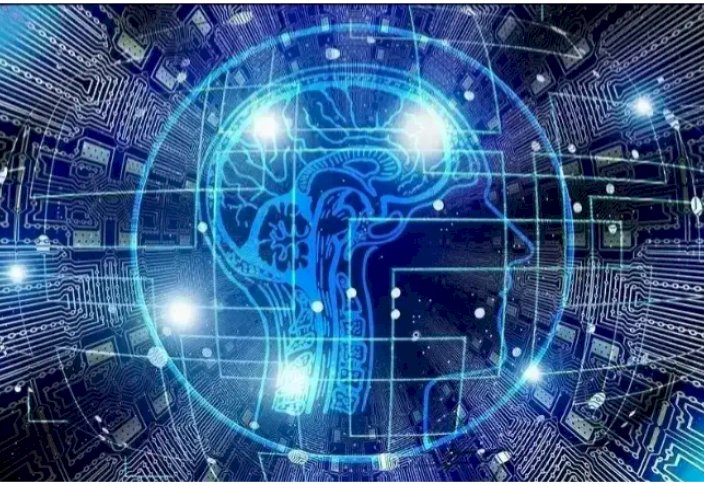 Түркия ғалымдары альцгеймер ауруын ерте анықтайтын технология ойлап тапты